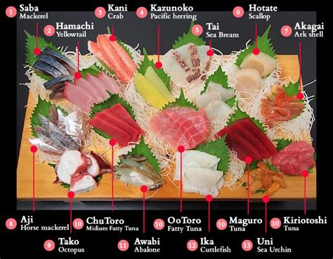 sashimi fish|19 Types of Sashimi .